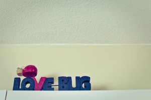 BR_SlideShow_Use (1 of 144)