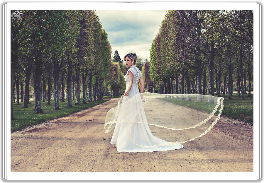 Paris PreWedding 