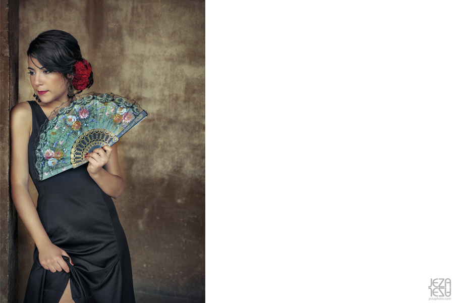 Flamenco dancer Flamenco dancer